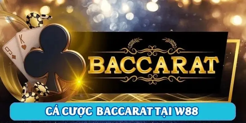 Baccarat có 3 cửa cược chính cho người chơi lựa chọn