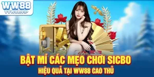Bật Mí Các Mẹo Chơi Sicbo Hiệu Quả Tại WW88 Từ Cao Thủ