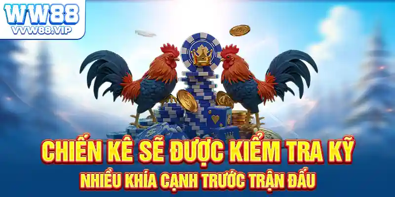 Chiến kê sẽ được kiểm tra kỹ nhiều khía cạnh trước trận đấu