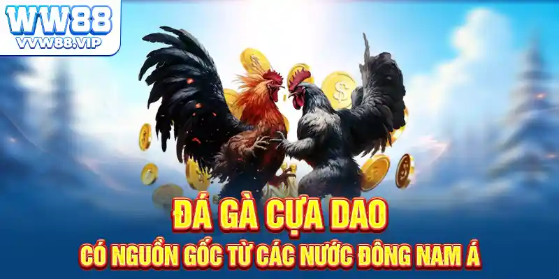 Đá gà cựa dao có nguồn gốc từ các nước Đông Nam Á