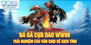 Đá Gà Cựa Dao WW88 - Trải Nghiệm Các Ván Chọi Kê Kịch Tính