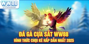 Đá Gà Cựa Sắt Trực Tuyến WW88 – Tựa Game Hot Nhất 2025