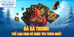 Đá Gà Thomo - Thể Loại Chọi Kê Được Yêu Thích Nhất Tại WW88