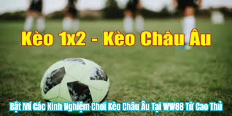 Bật Mí Các Kinh Nghiệm Chơi Kèo Châu Âu Tại WW88 Từ Cao Thủ