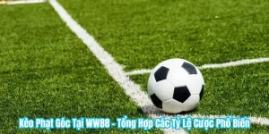 Kèo Phạt Góc Tại WW88 - Tổng Hợp Các Tỷ Lệ Cược Phổ Biến