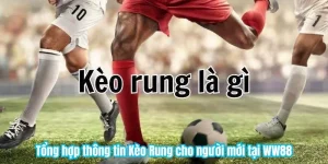 Tổng hợp thông tin Kèo Rung cho người mới tại WW88
