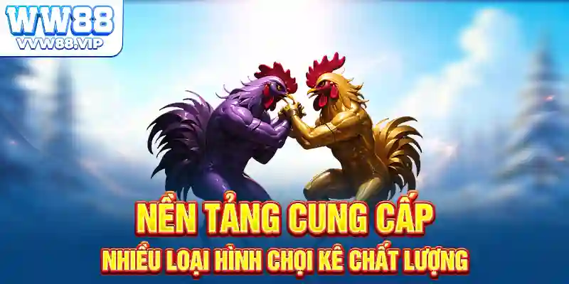 Nền tảng cung cấp nhiều loại hình chọi kê chất lượng