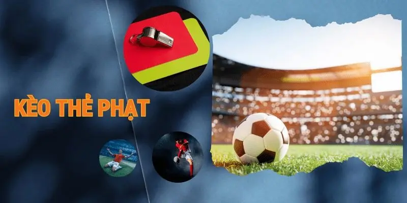 Nhà cái cung cấp nhiều hình thức cược khác nhau