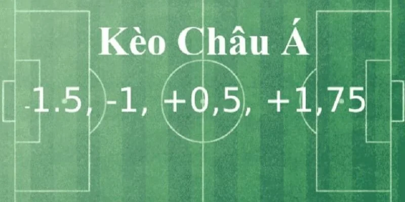 Nhiều tỷ lệ cược cho người chơi lựa chọn