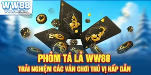 Phỏm Tá Lả Tại WW88 – Trò Bài Dân Gian Được Yêu Thích Nhất