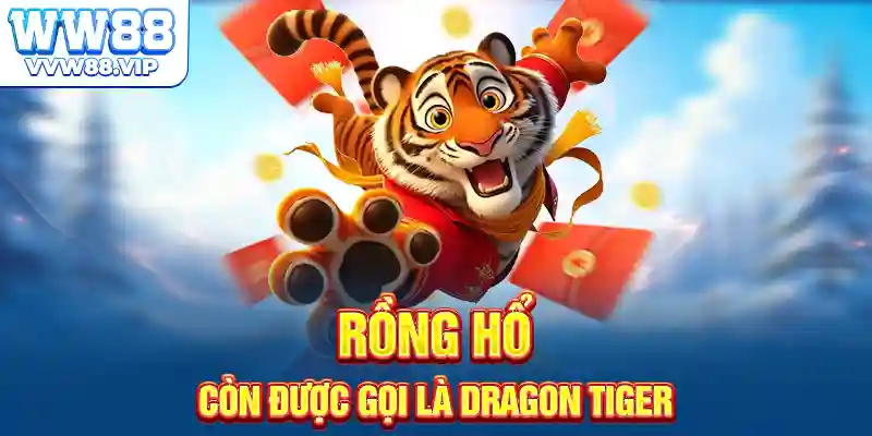 Rồng hổ còn được gọi là Dragon Tiger