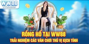 Rồng Hổ Tại WW88 - Trải Nghiệm Các Ván Chơi Thú Vị Kịch Tính