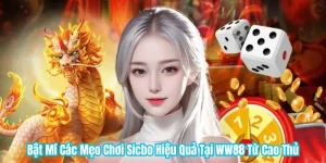 Bật Mí Các Mẹo Chơi Sicbo Hiệu Quả Tại WW88 Từ Cao Thủ