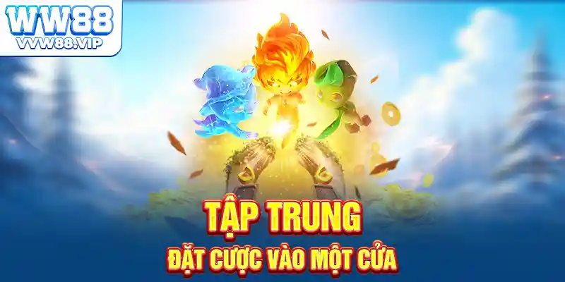 Tập trung đặt cược vào một cửa