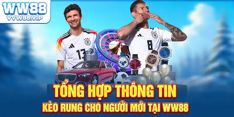 Tổng Hợp Thông Tin Kèo Rung Cho Người Mới Tại Ww88