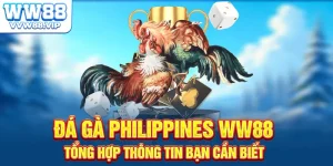 WW88 Đá Gà Philippines – Cách Chơi, Luật & Mẹo Thắng
