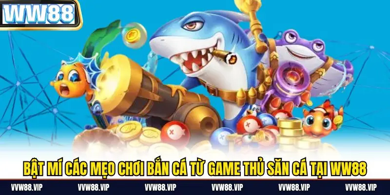 Các mẹo hay nên áp dụng để trở thành game thủ săn cá